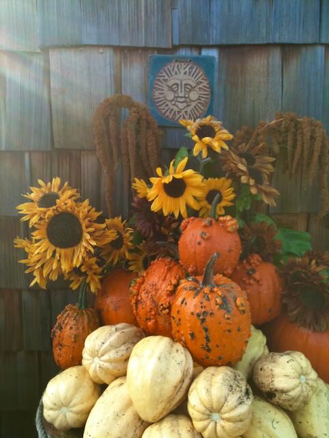 A bountiful autumn harvest of squash, pumpkins, and sunflowers.